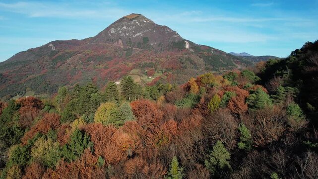 Picturesque view of colorful mountains in autumn in northern Italy, where is common to see trees like Scots Pine, Black Pine, Swiss Pine, Norway Spruce, Silver Fir, European Larch, European Beech.
