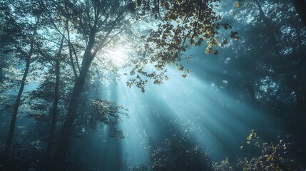 Obraz premium Sunbeams pierce through the canopy of a misty forest, illuminating the green leaves and creating a magical atmosphere.