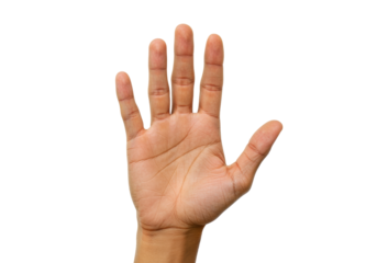 Isolated human hand showing five fingers, palm up for stop or high five, no background