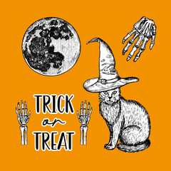 Halloween card design with a lettering phrase Trick or treat. A cat, witch hat, moon, bones sketch outline illustrations, drawings in engraving style. Hand-drawn vector line art
