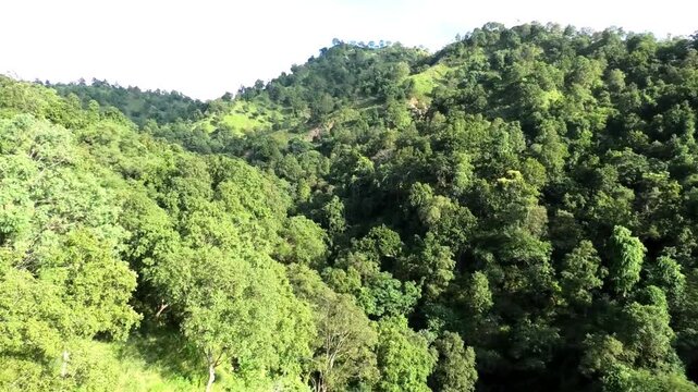 The beautiful nature seen on the ropeway ride to Chandi Devi Temple, Haridwar, Uttarakhand, India