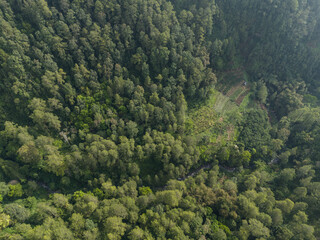Aerial panoramic view of lush green mountain forest under daylight.