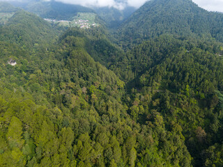 Fototapeta premium Aerial panoramic view of lush green mountain forest under daylight.