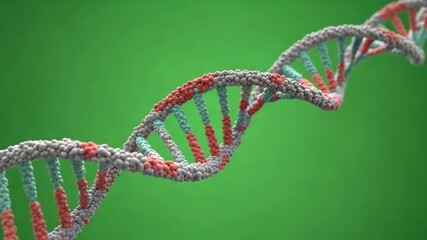 Double helix DNA molecule structure in colorful red blue gray nucleotides on green background representing genetic code biotechnology and molecular biology
- Powered by Adobe