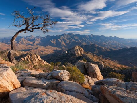 Desert Mountain Vista with Twisted Tree Landscape View from High Vantage Point in Arizona USA under Cloudy Blue Sky - Powered by Adobe