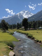Scenic view of mountain river flowing through lush green meadow surrounded by trees and snow capped mountain peaks in background
