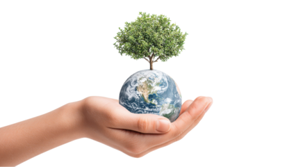 Hand Holding Earth with Tree: Environmental Concept on White