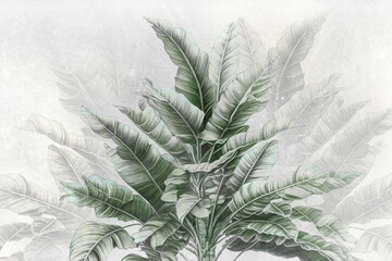 Banana tree. Tropical wallpaper with banana tree on grunge background. Design for wallpaper, photo wallpaper, fresco, card, mural.	