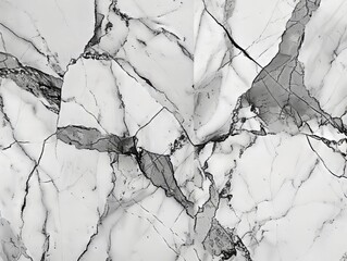 Elegant black and white marble texture background