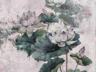 Illustration with blooming lotuses. Lotus flower.	