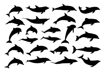 The big set silhouettes of marine dolphins.
