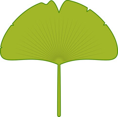 낙엽-은행잎-은행나무잎-잎-은행-나뭇잎-단풍잎-그린