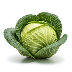 Fototapeta premium Fresh Green Cabbage Head - A Vibrant and Healthy Vegetable.