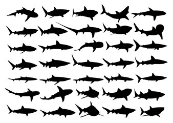 The big set silhouettes of big sea sharks.
