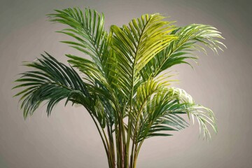 Obraz premium Indoor palm plant with green fronds against neutral backdrop, studio shot of tropical home decor element, lush foliage and stems