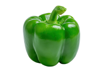 A single, vibrant green bell pepper against a stark black background, capturing its natural form