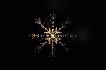 Fototapeta premium Effect minimal of snowflake light night black background.