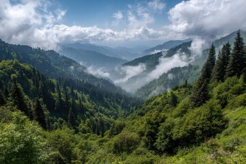 Fototapeta premium Iran Mazandaran: Se-hezar Forest, a Tourist Ecotourism Destination in Caspian Nature