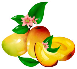 Mango illustration PNG compisition