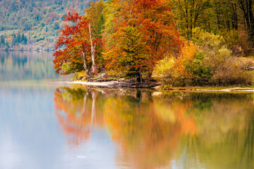 Lake Bohinj bathed in autumn magic. The kingdom of the golden-horned ibex.