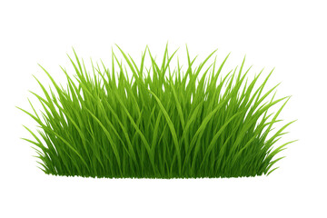 Green grass clump growing, isolated on a transparent background, depicting nature, growth, and freshness