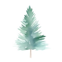 Fototapeta premium Pine tree christmas plant leaf.