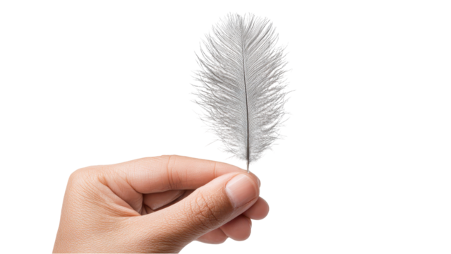 Delicate Feather Held in Hand: Lightness, Peace, and Nature Concept