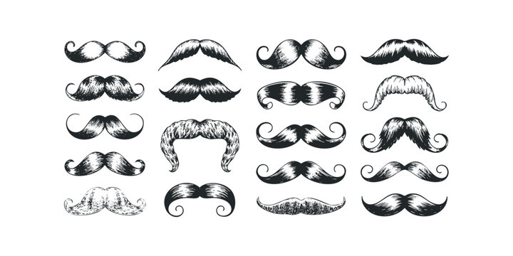 Collection of diverse handlebar and walrus mustache styles