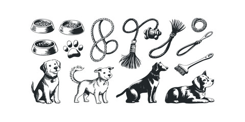 Collection of dogs and pet accessories hand-drawn sketch