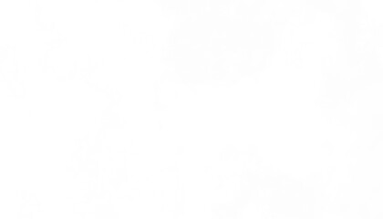 Realistic white clouds fog overlay isolated on the transparent background