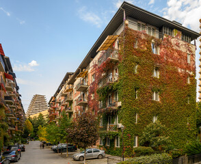 Red Brick Houses with Wild Vines in Saburtalo, Tbilisi