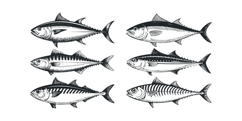 Collection of Six Stylized Fish Illustrations on White