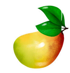 Mango fruit