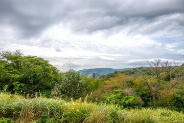 新緑が濃い夏の登山風景

