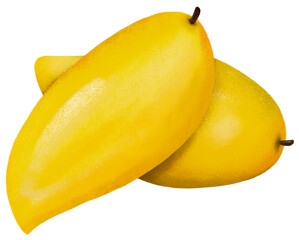 Yellow Mango fruit