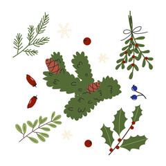 Festive arrangement of holly, mistletoe, and pine branches in a cheerful holiday style