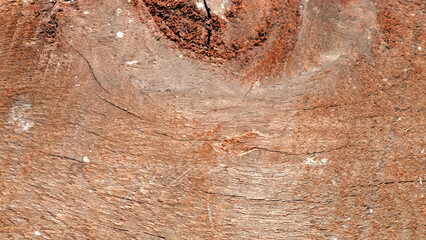 Rough brown tree bark texture with natural cracks and knots in close up view