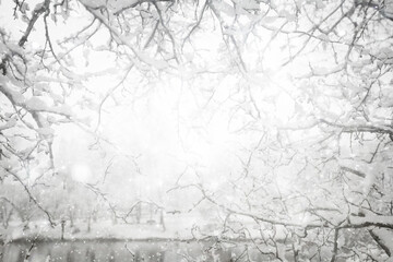 Snowy winter background in the park, blurred abstract seasonal backdrop, snowflake texture, light landscape background