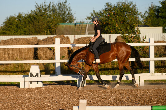 Rider trains in outdoor arena for dressage on horse. Outdoor riding training, teenage girl wearing racing helmet sits on horse and in saddle, practicing galloping. Concepts of racing and pet training