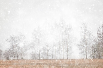 Naklejka premium Snowy winter background in the park, blurred abstract seasonal backdrop, snowflake texture, light landscape background