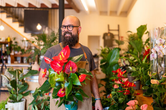 Florist man holding blooming anthurium plant in shop