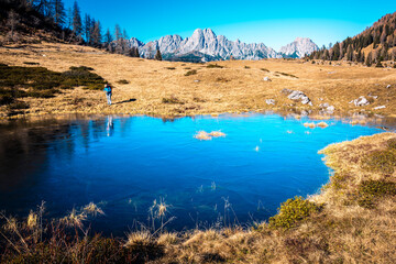 Fototapeta premium Sauris immersed in the magic of autumn. The kingdom of the golden larch.