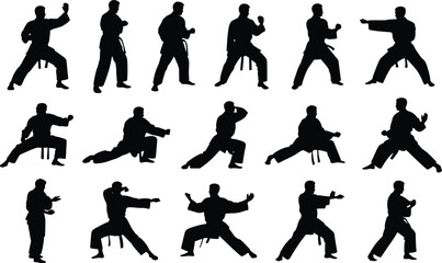 Martial arts silhouette grid, diverse poses and stances, karate taekwondo movement study, cad drawing flat vector illustration, discipline form