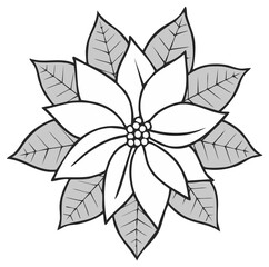 Black and white Poinsettia flower line art illustration a traditional Christmas plant icon