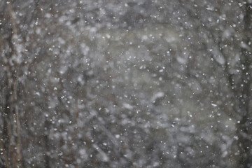 Winter blurred background, snowflakes, light weather, abstract backdrop in the park
