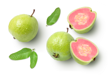 set of pink guava isolated on white background.
