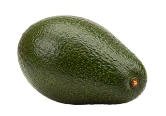 Isolated Hass avocado with dark green skin, smooth texture, and a single small brown stem end