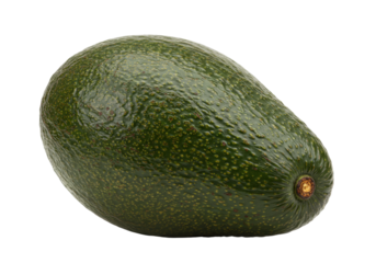 Isolated Hass avocado with dark green skin, smooth texture, and a single small brown stem end