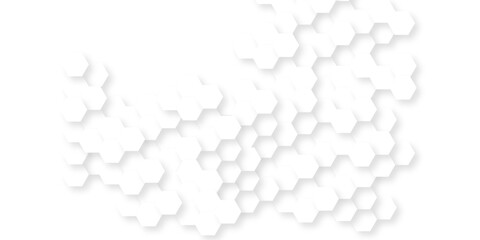 Background with hexagons . Abstract background with lines . white texture background . hexagon abstract background. Surface polygon pattern with glowing hexagon paper texture and futuristic business.	