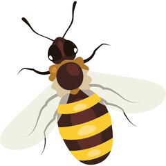 A Detailed Illustration of a Bee with Brown and Yellow Stripes on its Abdomen and Translucent Wings Isolated on a White Background